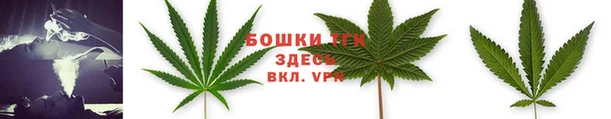 СК Белокуриха