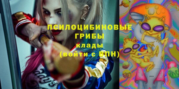 СК Белокуриха