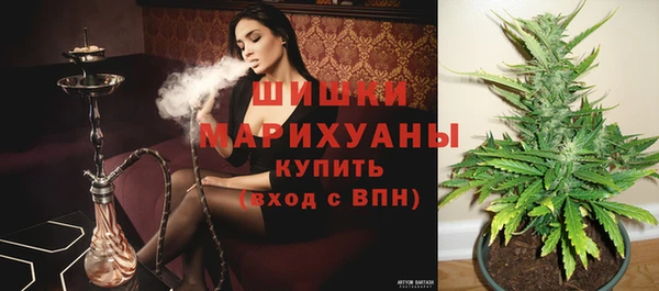СК Белокуриха