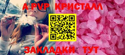 гашик Тара