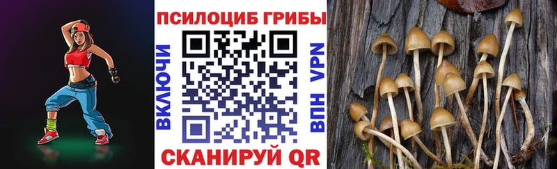 Галлюциногенные грибы ЛСД  blacksprut ссылка  Печора 