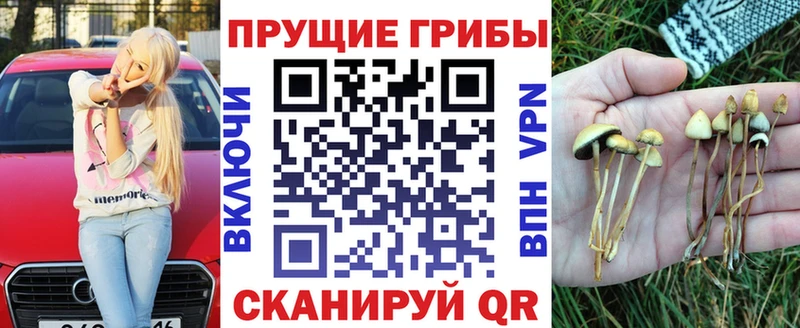 Галлюциногенные грибы Cubensis Печора