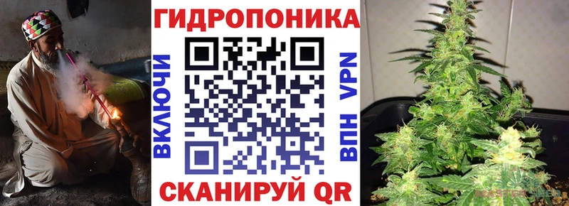 Бошки марихуана SATIVA & INDICA Печора